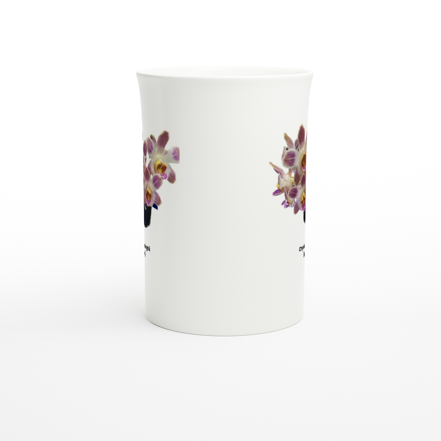 Chysis limminghei Orchid Porcelain Mug