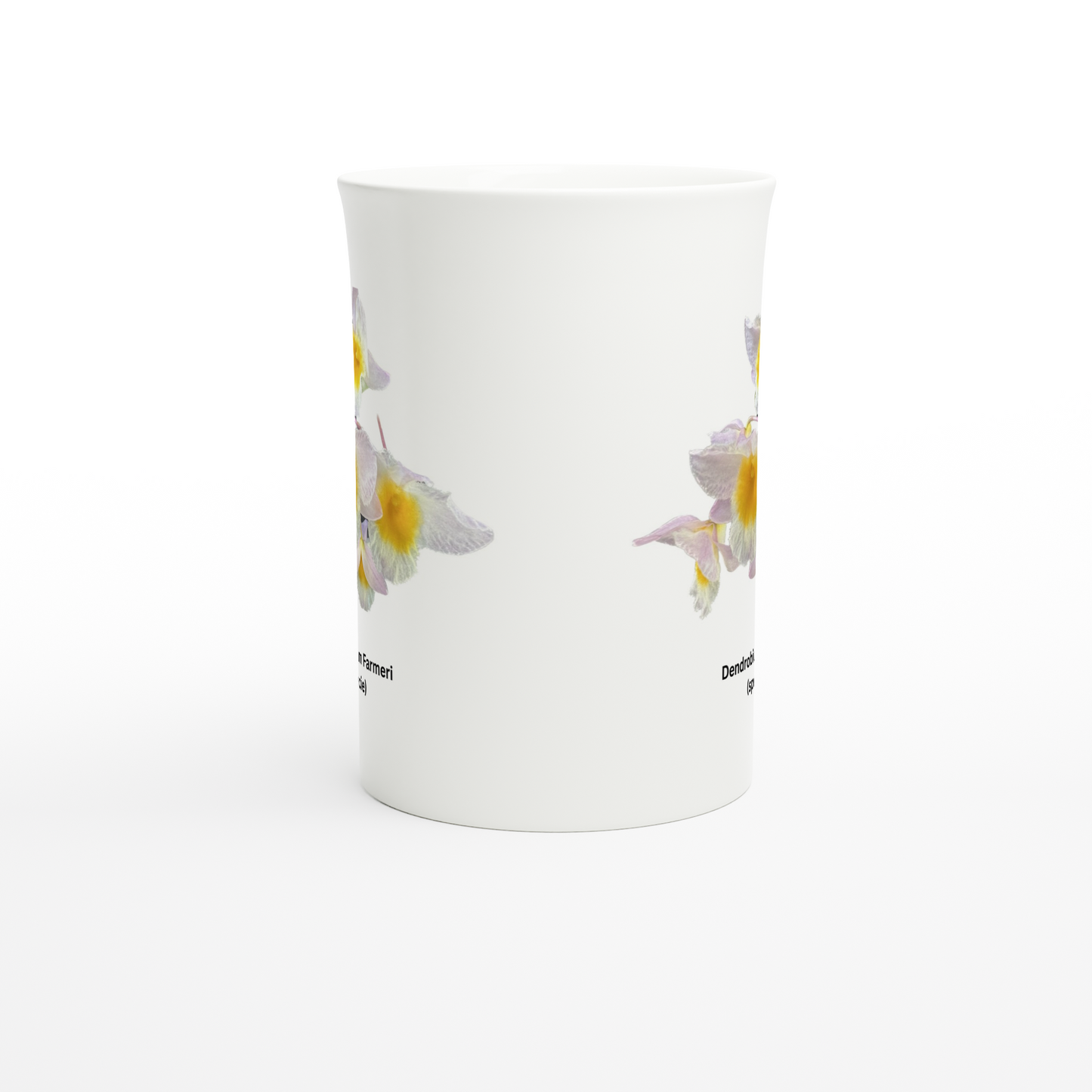 Dendrobium farmeri Orchid Porcelain Mug