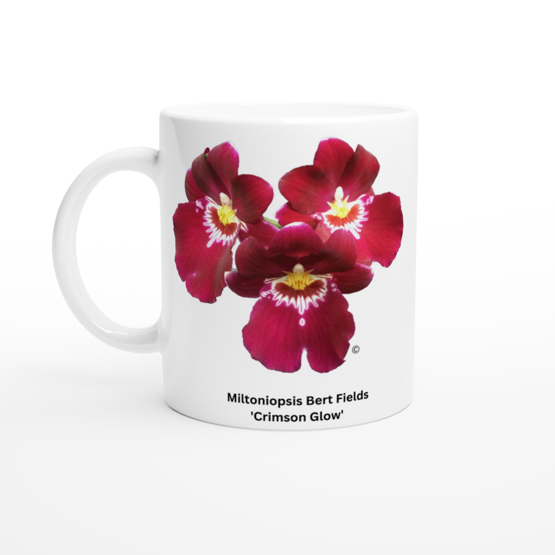 Miltoniopsis Bert Fields 'Crimson Glow' Orchid Coffee Mug