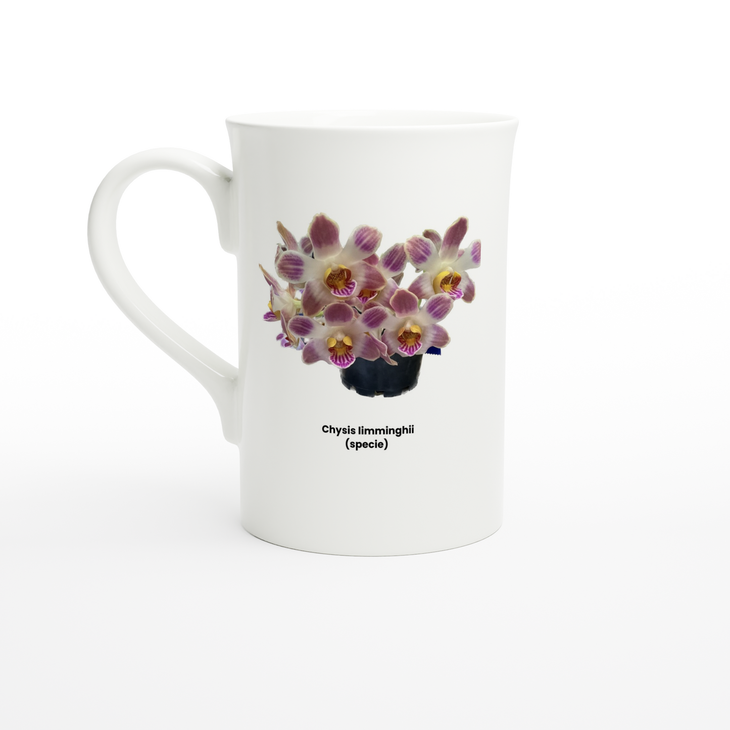 Chysis limminghei Orchid Porcelain Mug