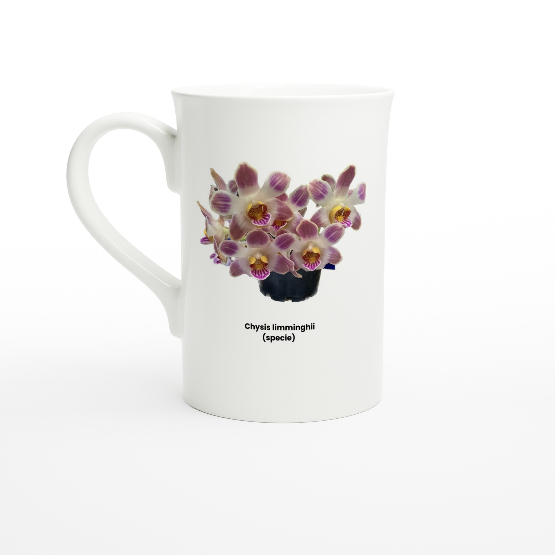 Chysis limminghei Orchid Porcelain Mug