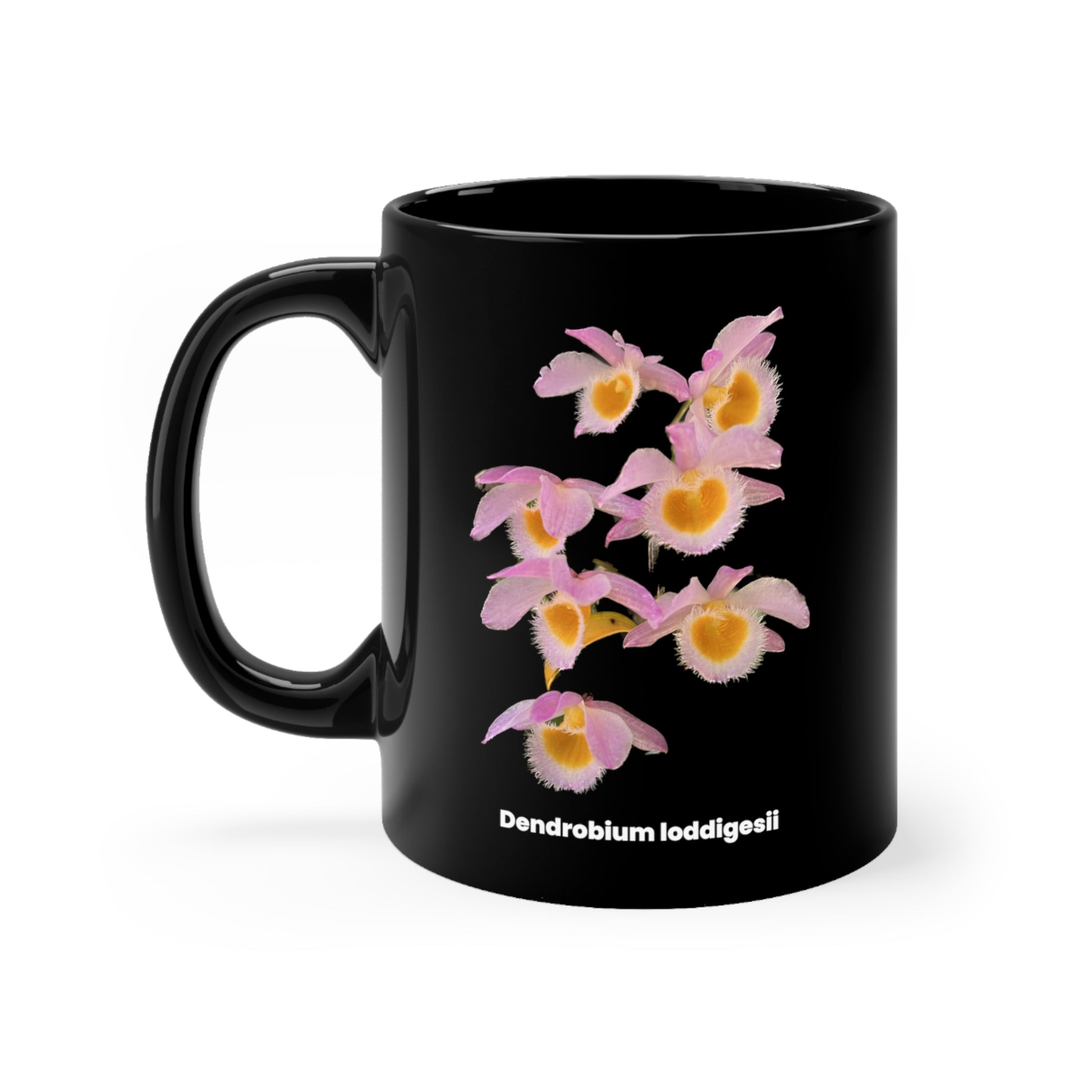 Dendrobium loddigesii Orchid Coffee Mug