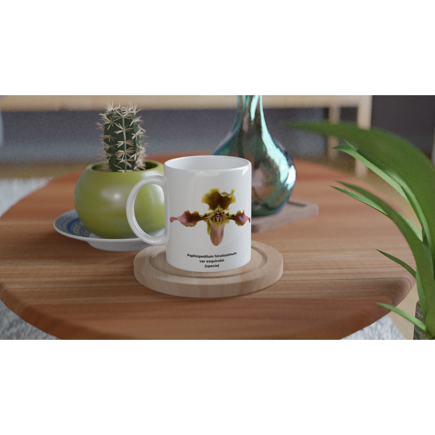 Paphiopedilum hirsutissimum var esquirolei Orchid Coffee Mug