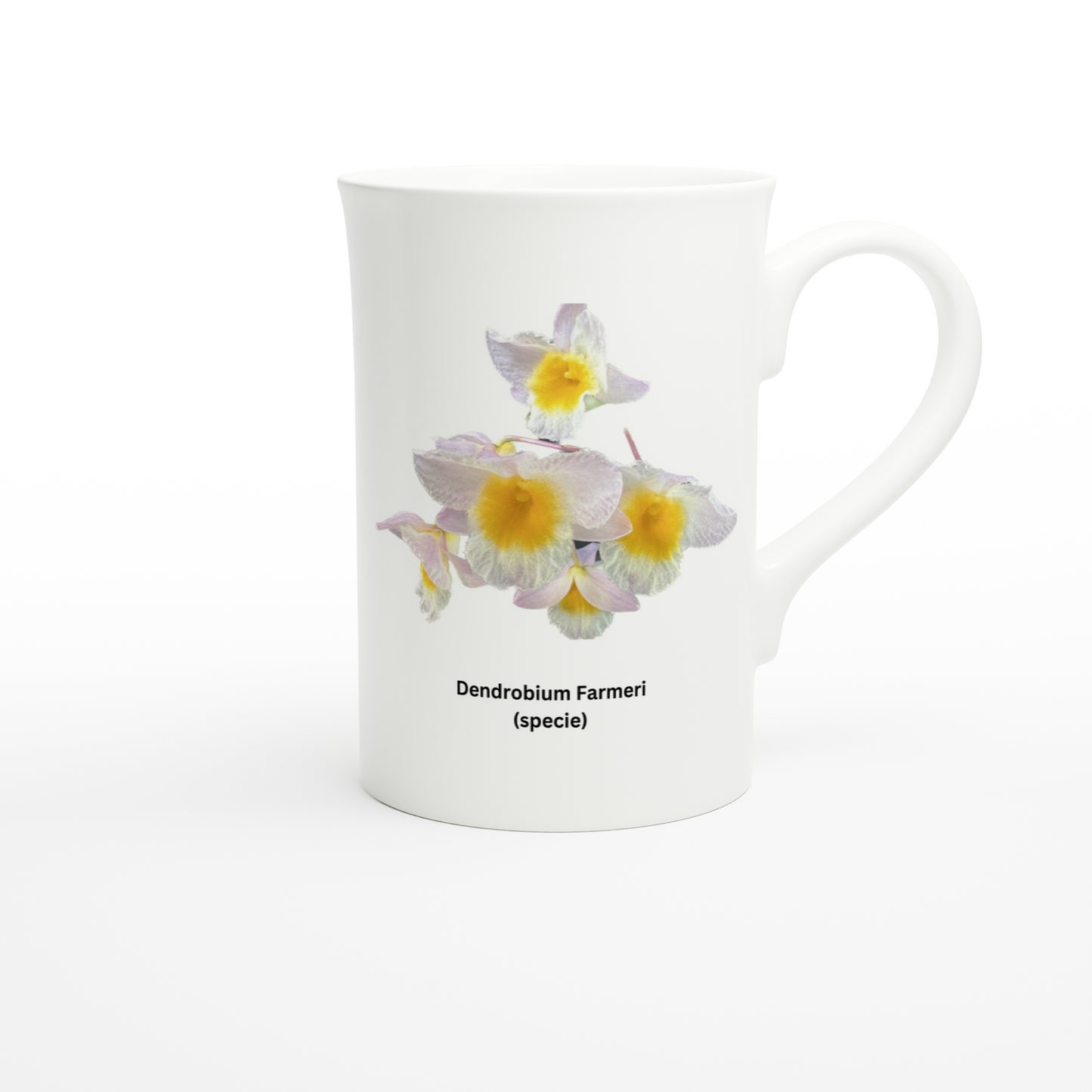 Dendrobium farmeri Orchid Porcelain Mug