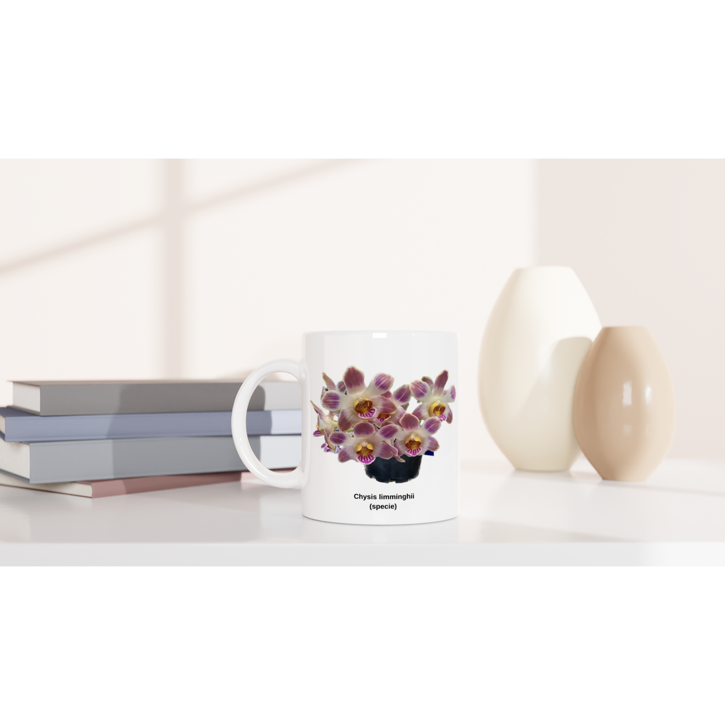 Chysis limminghei Orchid Coffee Mug