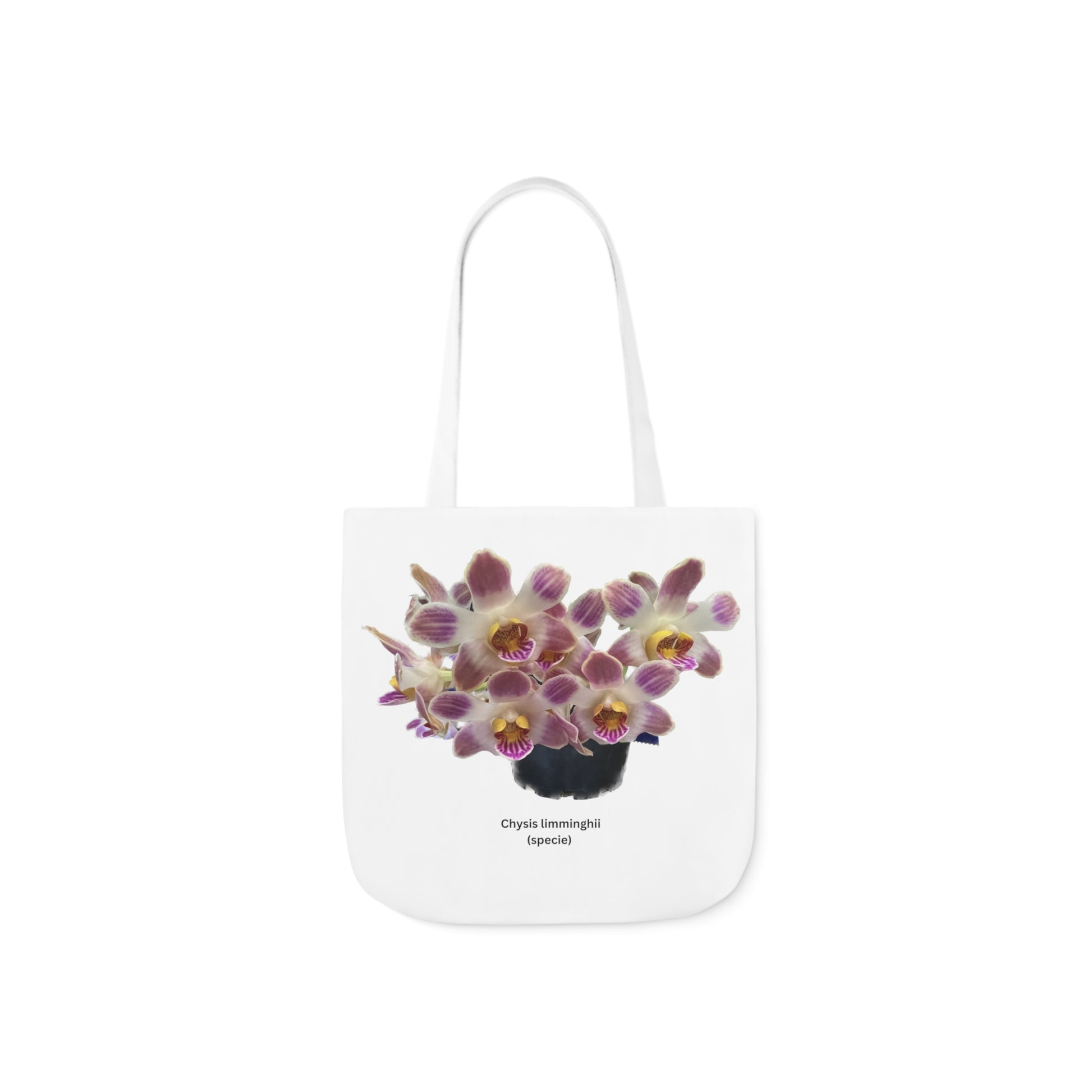 Chysis limminghei Orchid Tote Bag