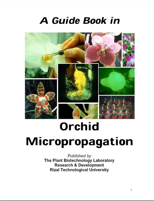 A Guidebook In Orchid Micropropagationis