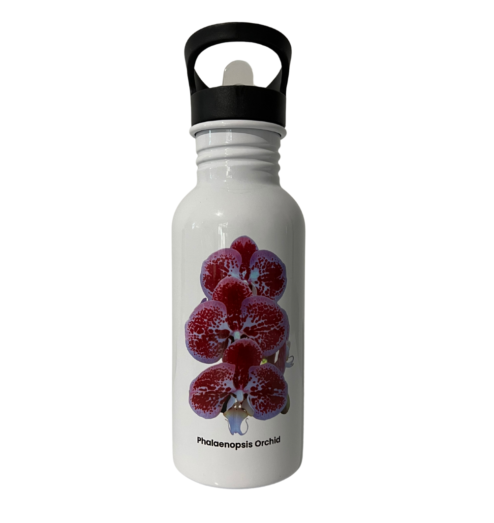 Pink & White Phalaenopsis Orchid Water Bottle