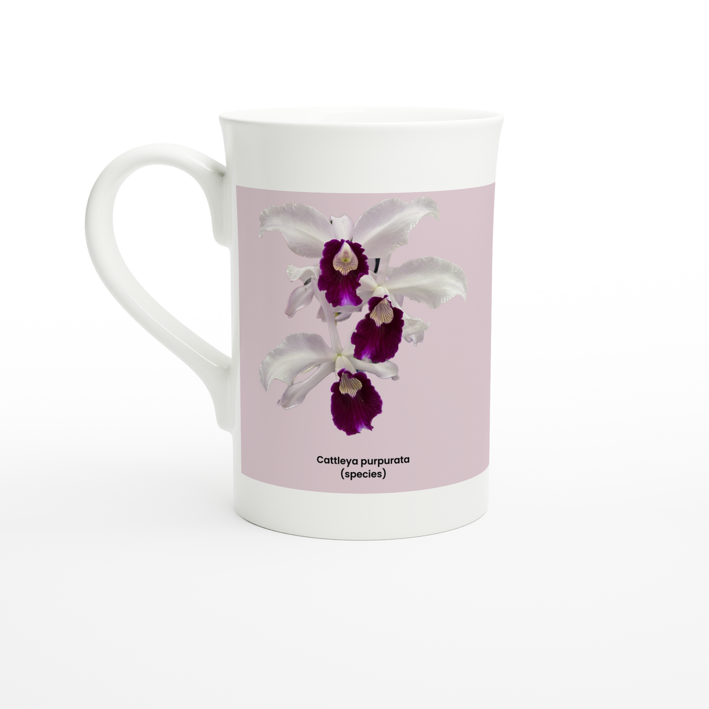 Cattleya purpurata Orchid Pink Porcelain Mug