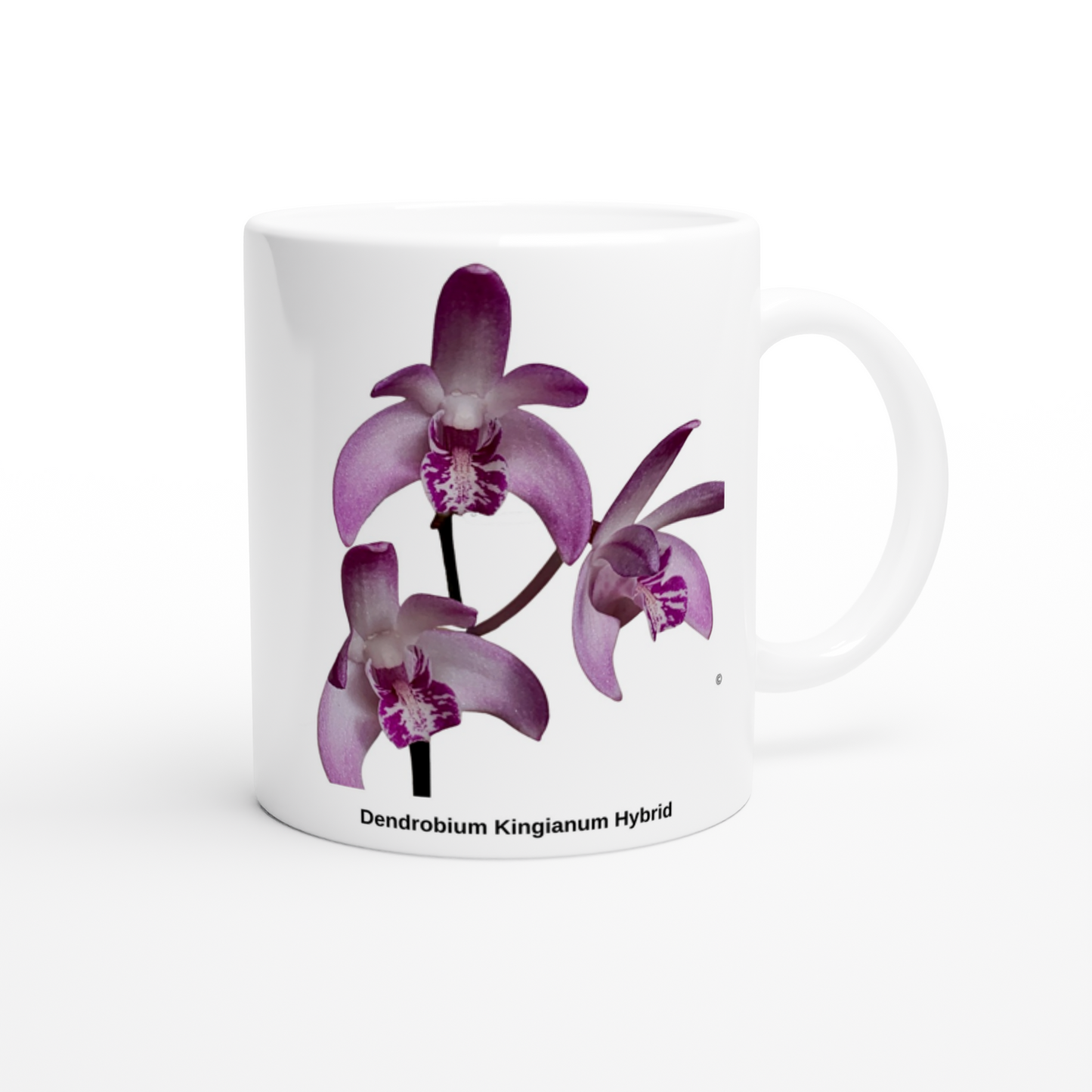 Dendrobium Kingianum Hybrid Orchid Coffee Mug