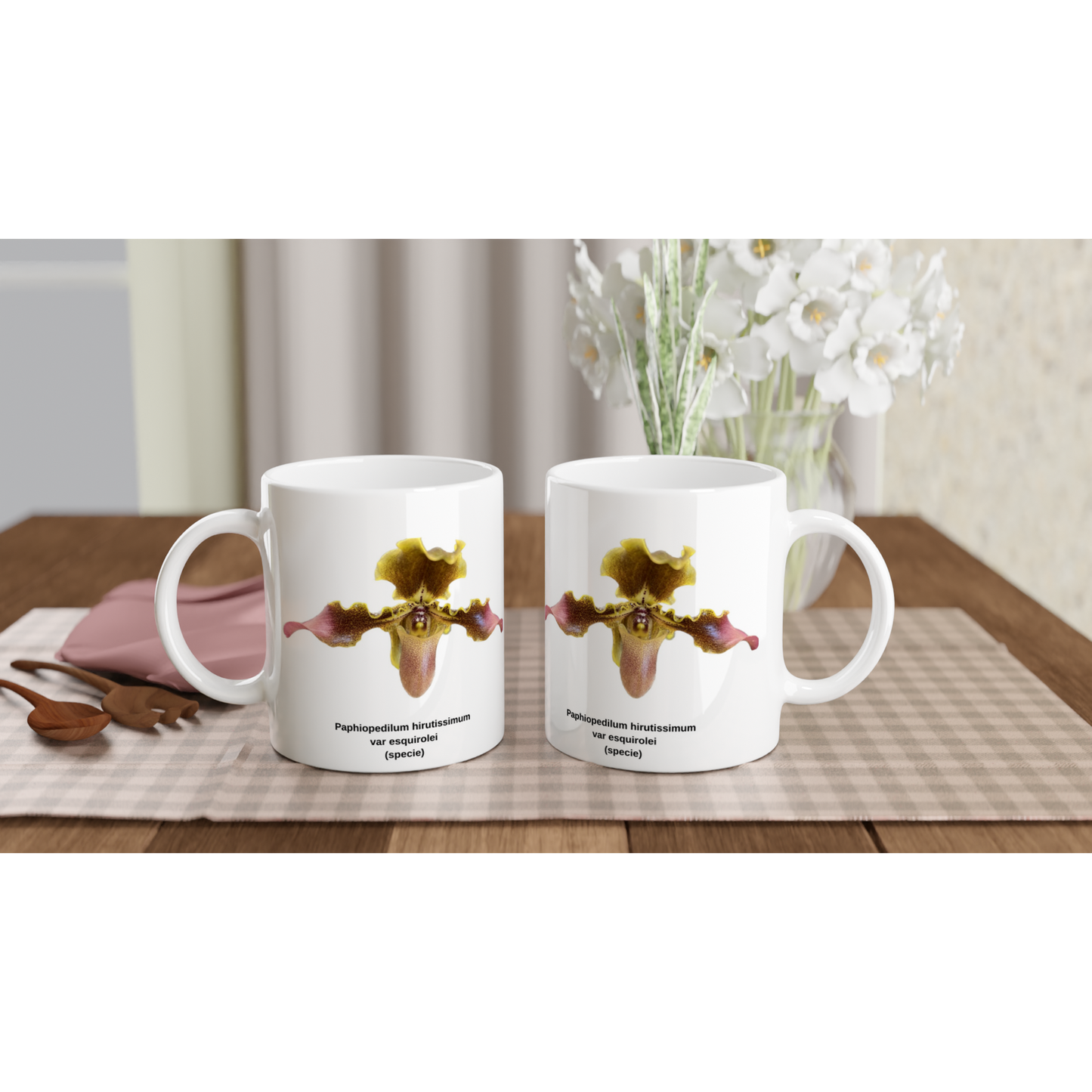 Paphiopedilum hirsutissimum var esquirolei Orchid Coffee Mug