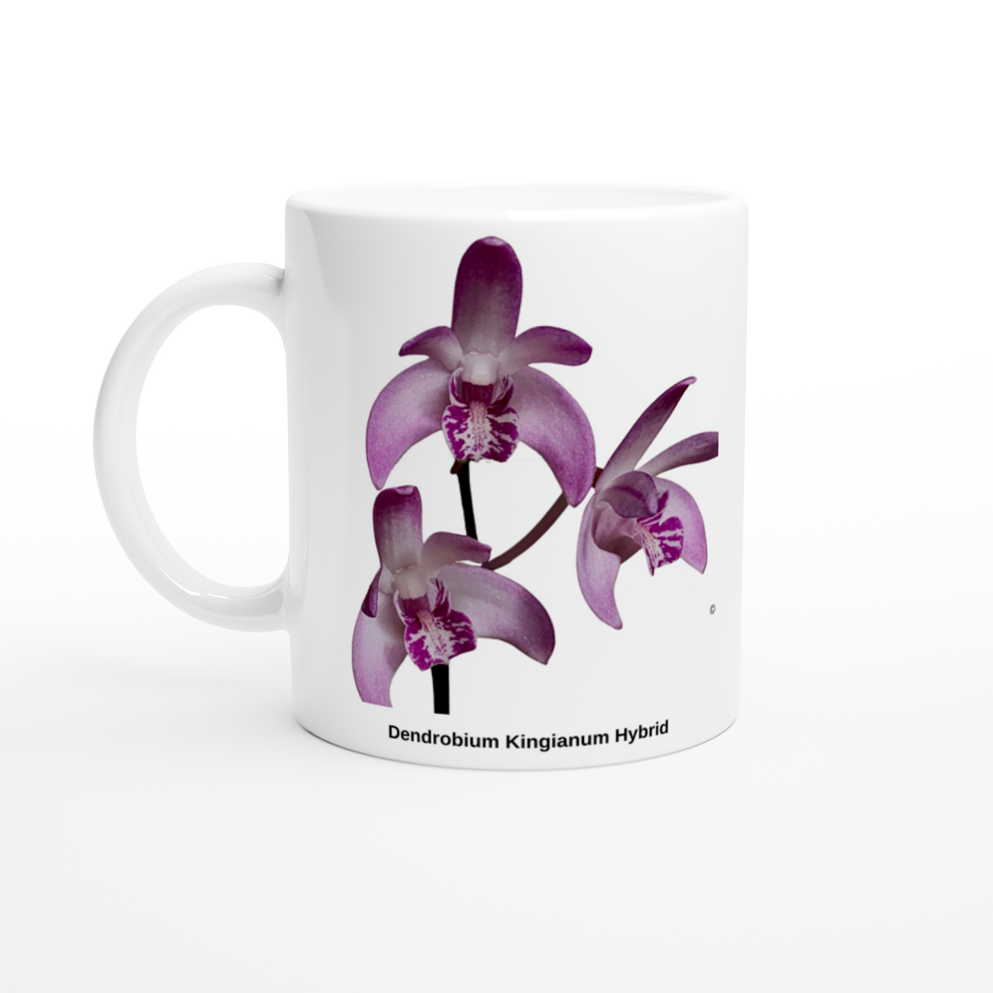 Dendrobium Kingianum Hybrid Orchid Coffee Mug