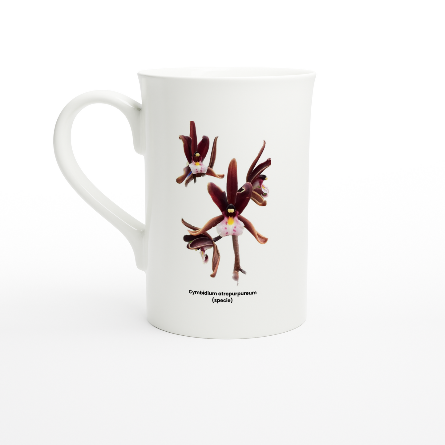 Cymbidium atropurpureum Orchid Porcelain Mug