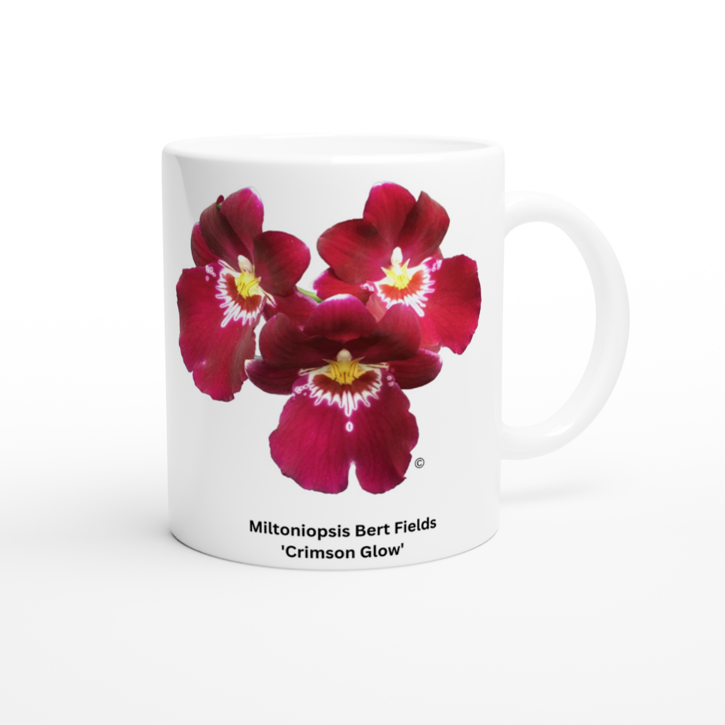 Miltoniopsis Bert Fields 'Crimson Glow' Orchid Coffee Mug