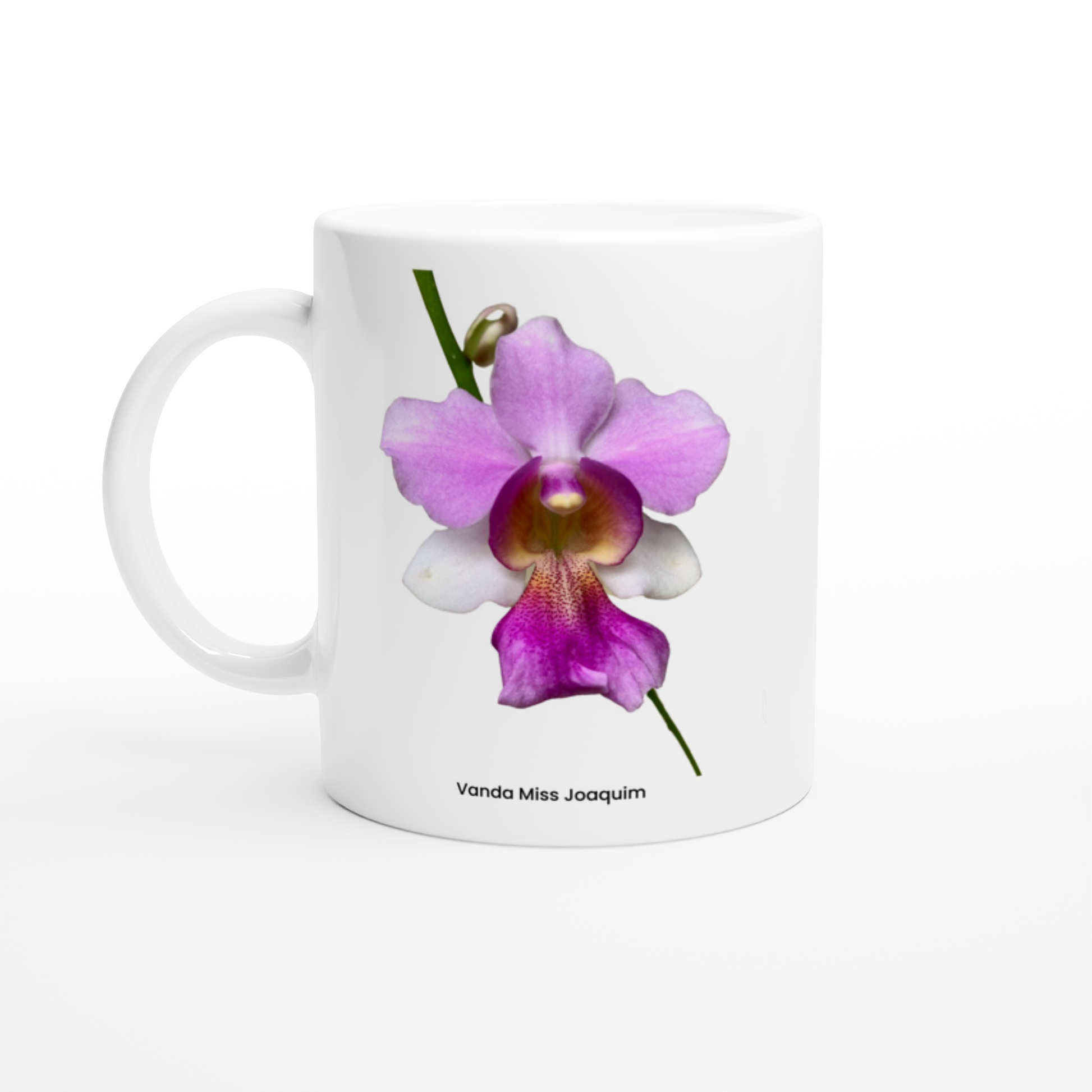 Vanda Miss Joaquim Orchid Coffee Mug