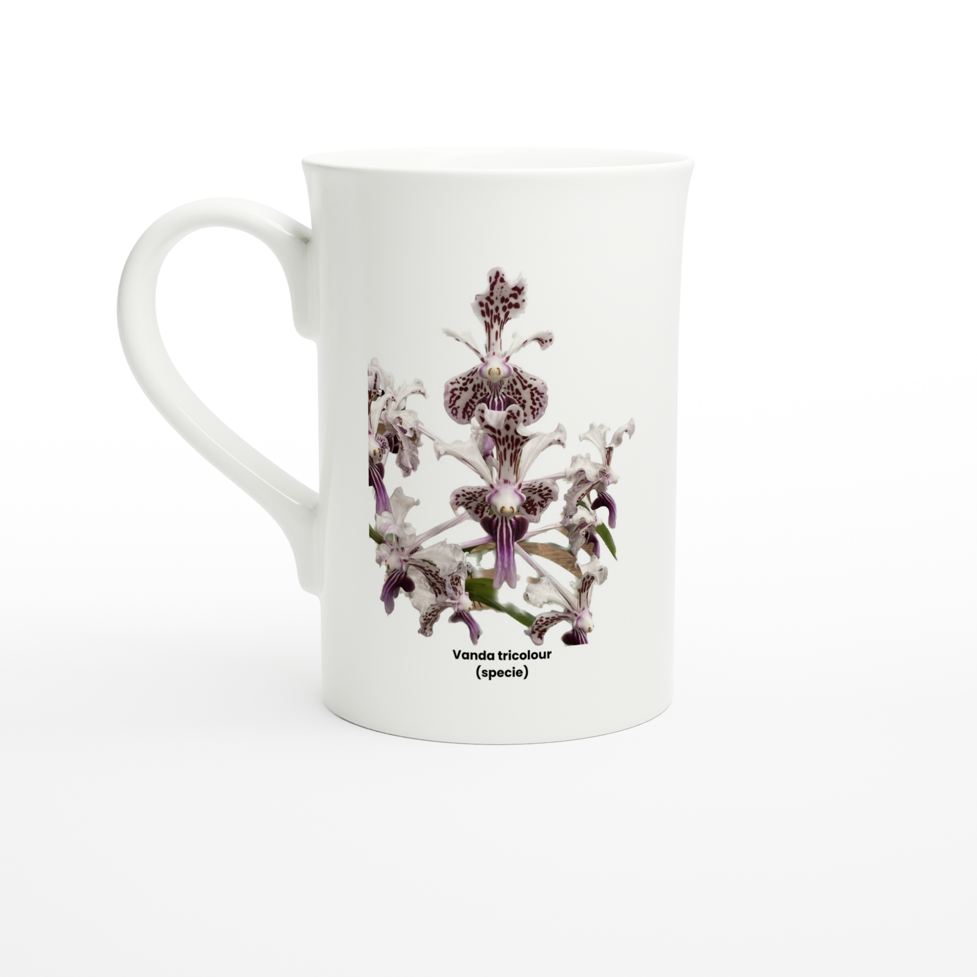 Vanda tricolor Orchid Porcelain Mug