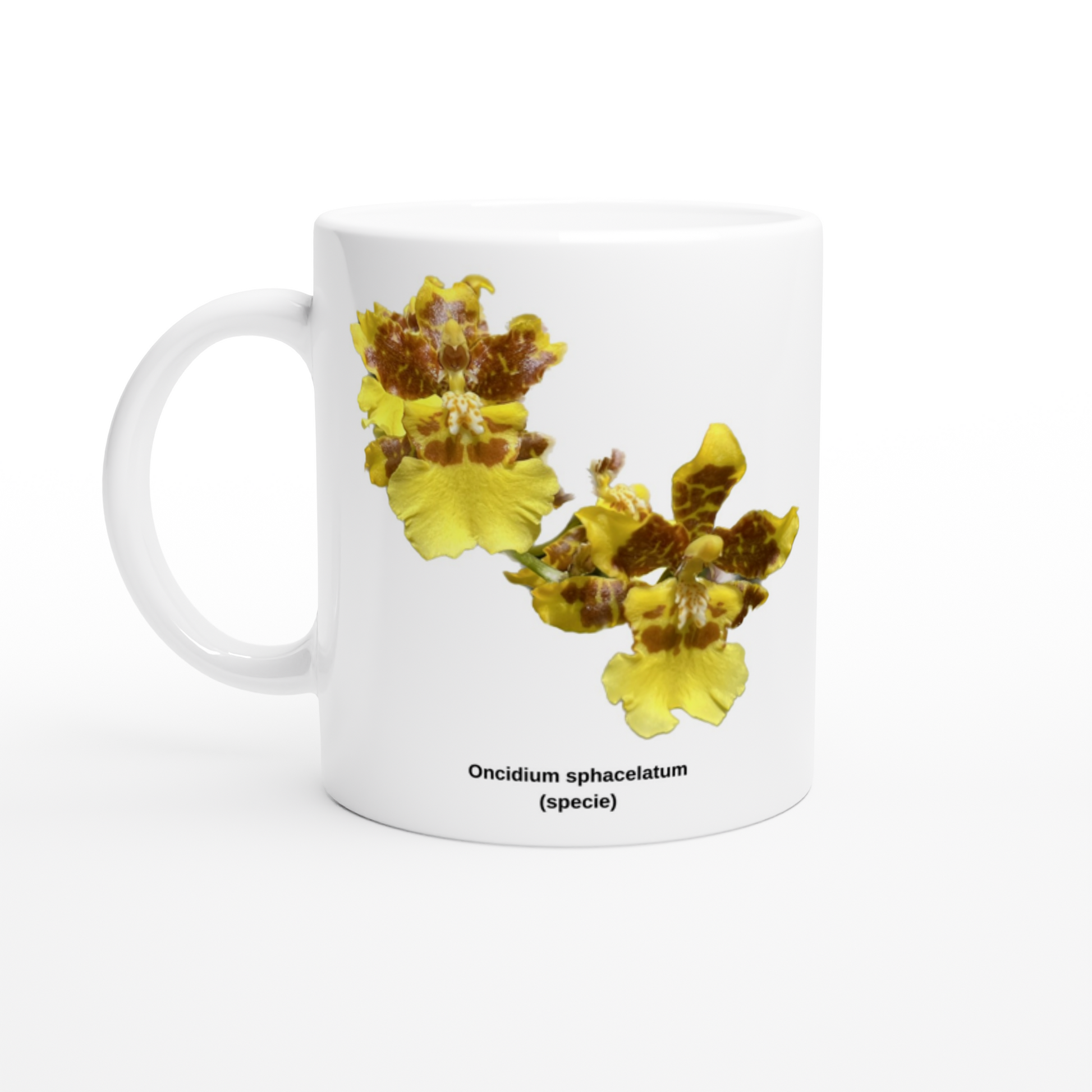 Oncidium sphacelatum Orchid Coffee Mug