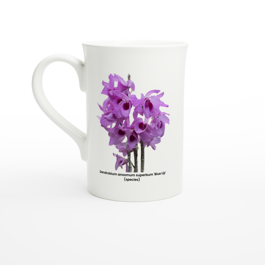 Dendrobium anosmum superbum 'Blue Lip' Orchid Porcelain Mug