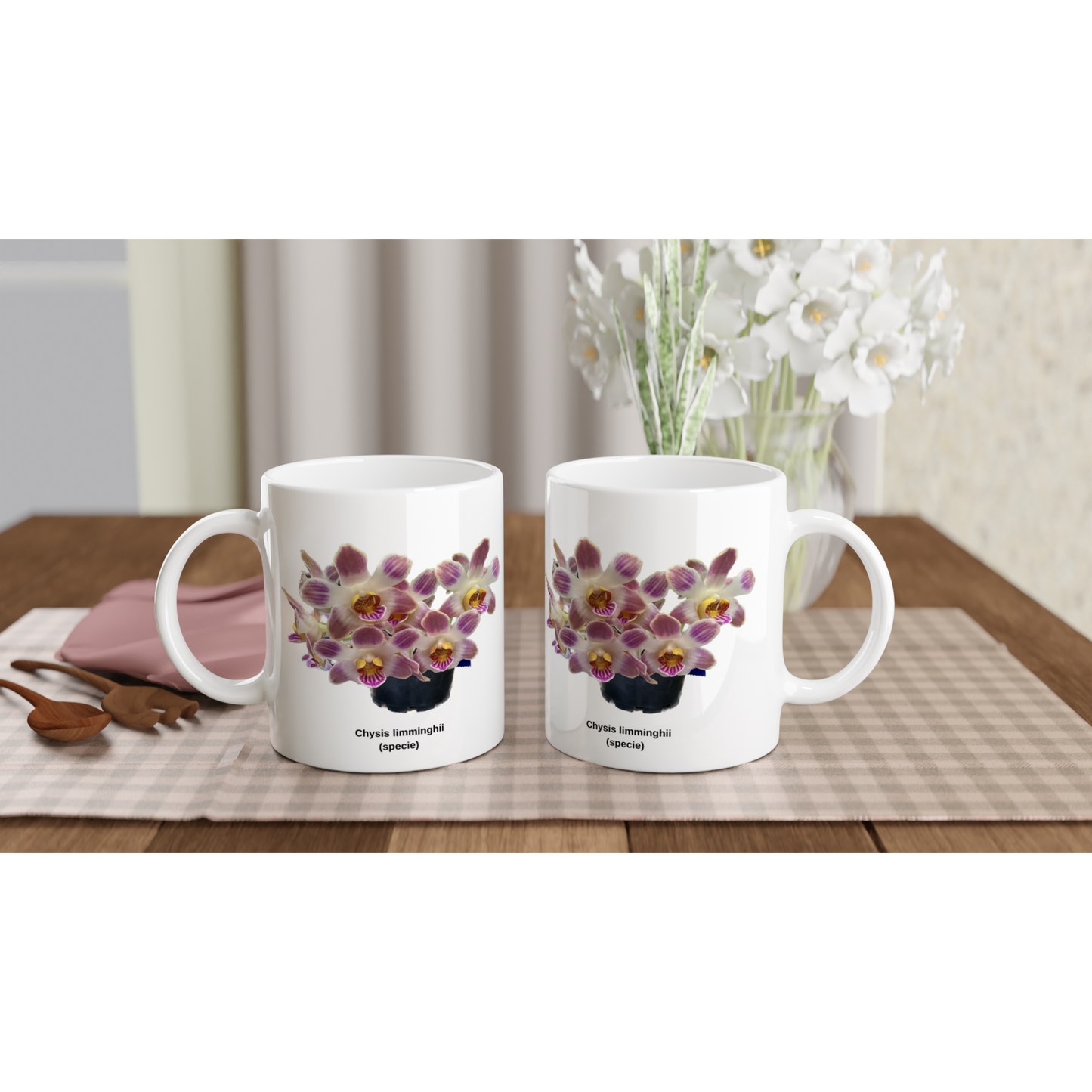 Chysis limminghei Orchid Coffee Mug