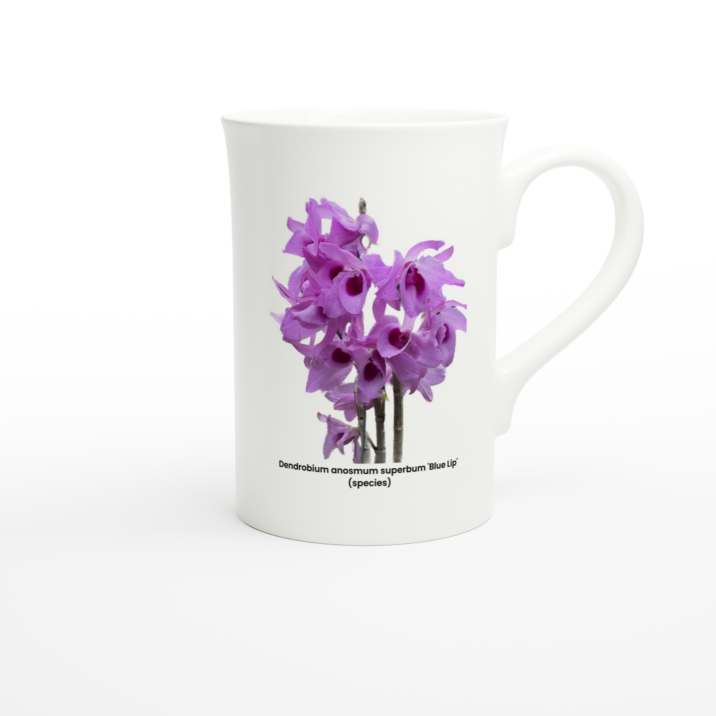 Dendrobium anosmum superbum 'Blue Lip' Orchid Porcelain Mug