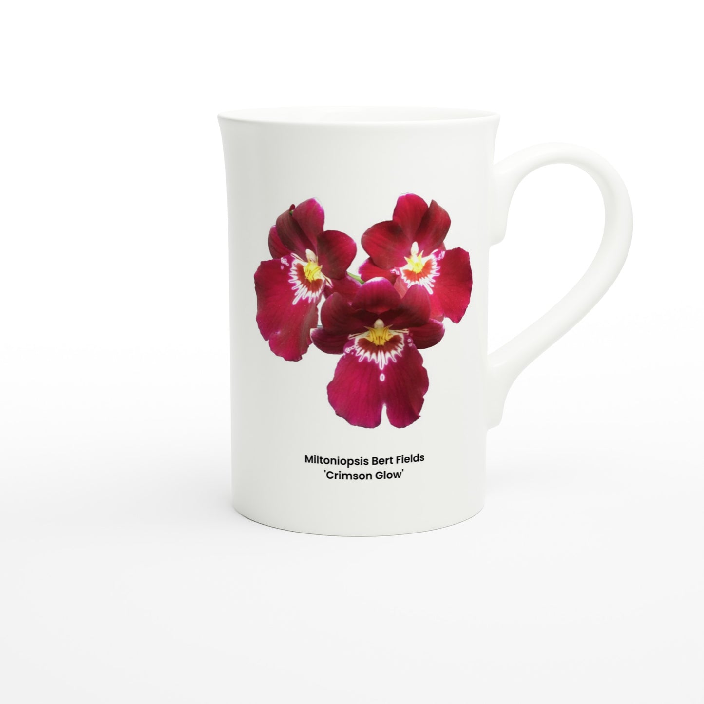 Miltoniopsis Bert Fields 'Crimson Glow' Orchid Porcelain Mug