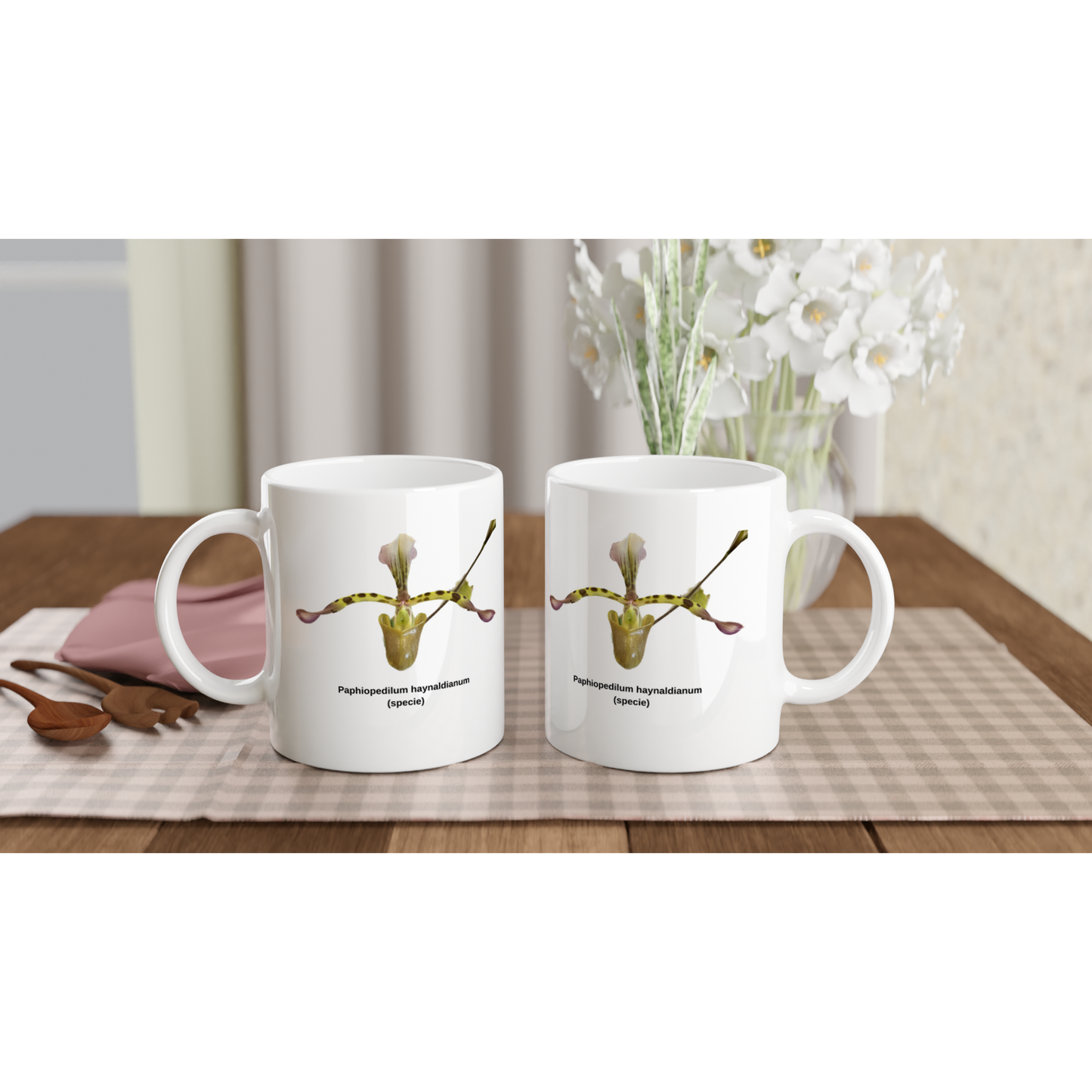 Paphiopedilum haynaldianum Orchid Coffee Mug