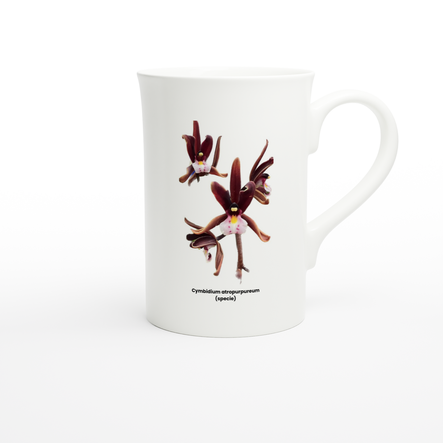 Cymbidium atropurpureum Orchid Porcelain Mug