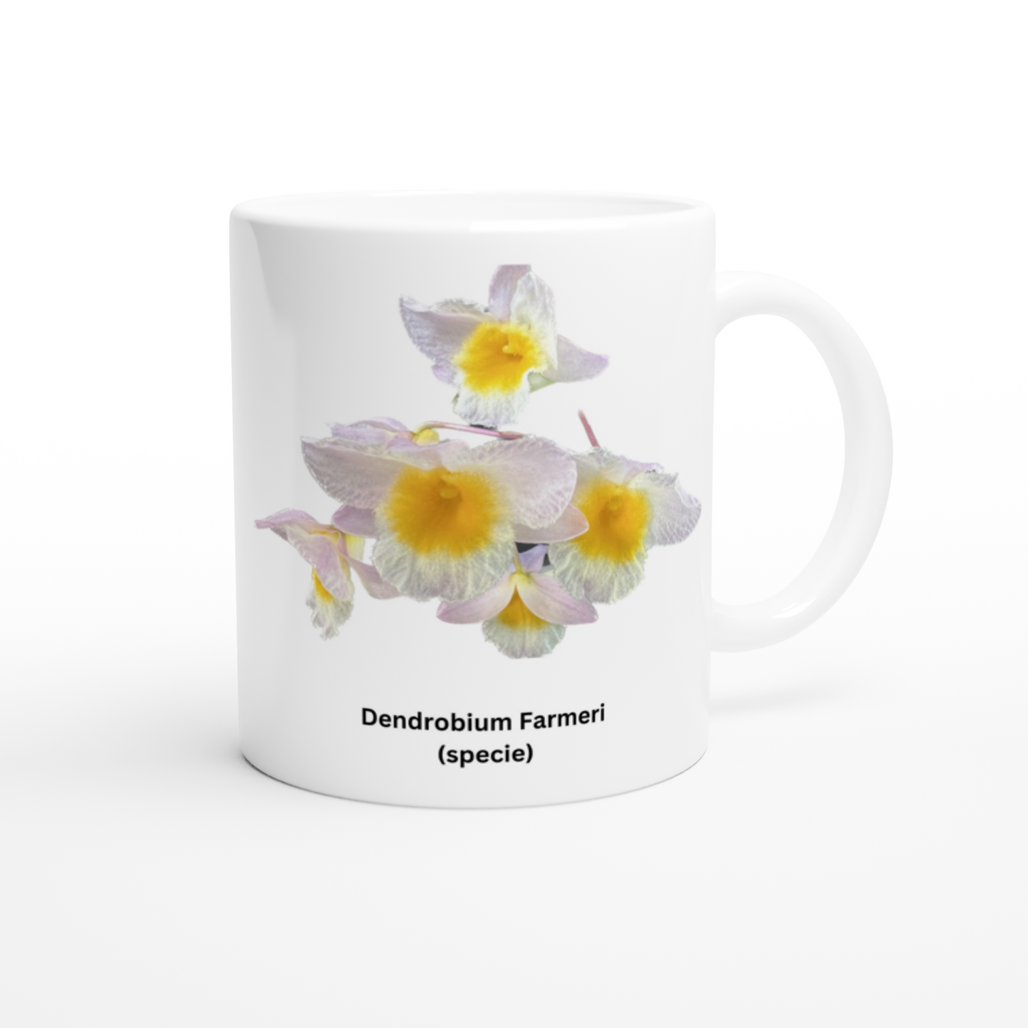 Dendrobium farmeri Orchid Coffee Mug