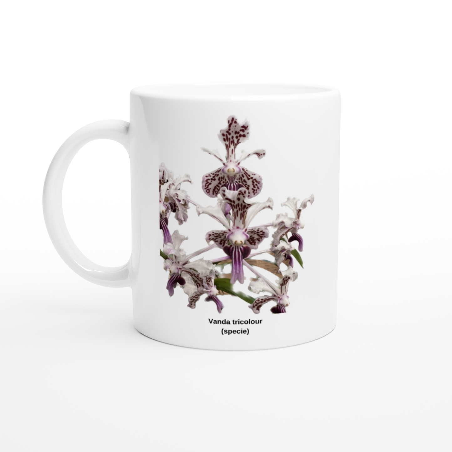 Vanda tricolor Orchid Coffee Mug