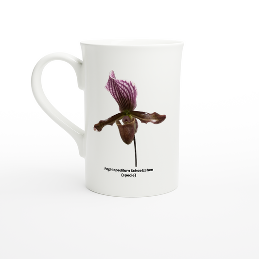 Paphiopedilum Schaetzchen Orchid Porcelain Mug