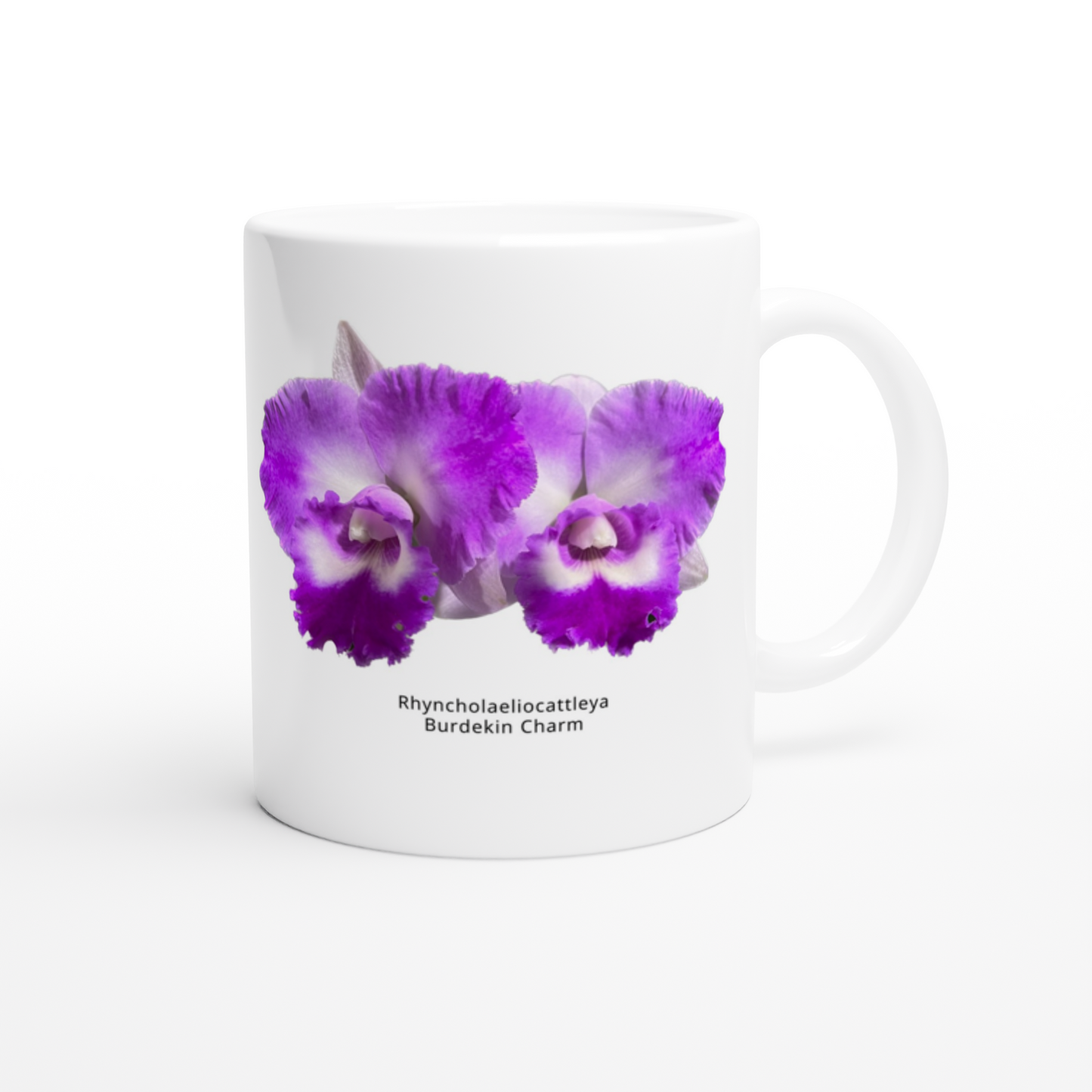 Rhyncholaeliocattleya Burdekin Charm Orchid Coffee Mug