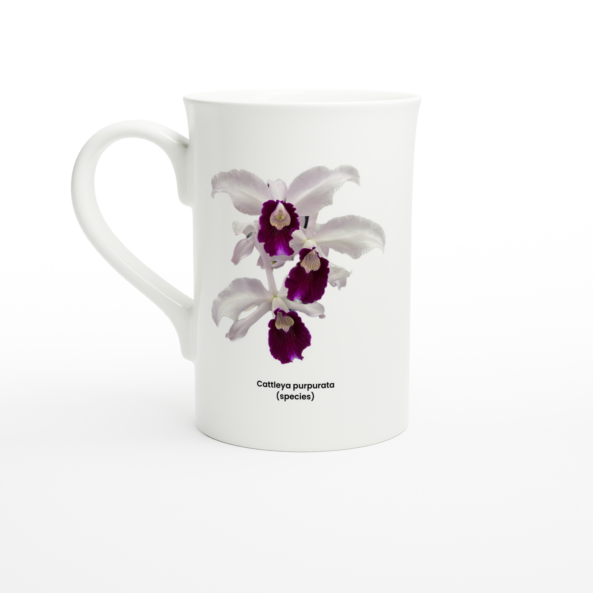 Cattleya purpurata Orchid Porcelain Mug