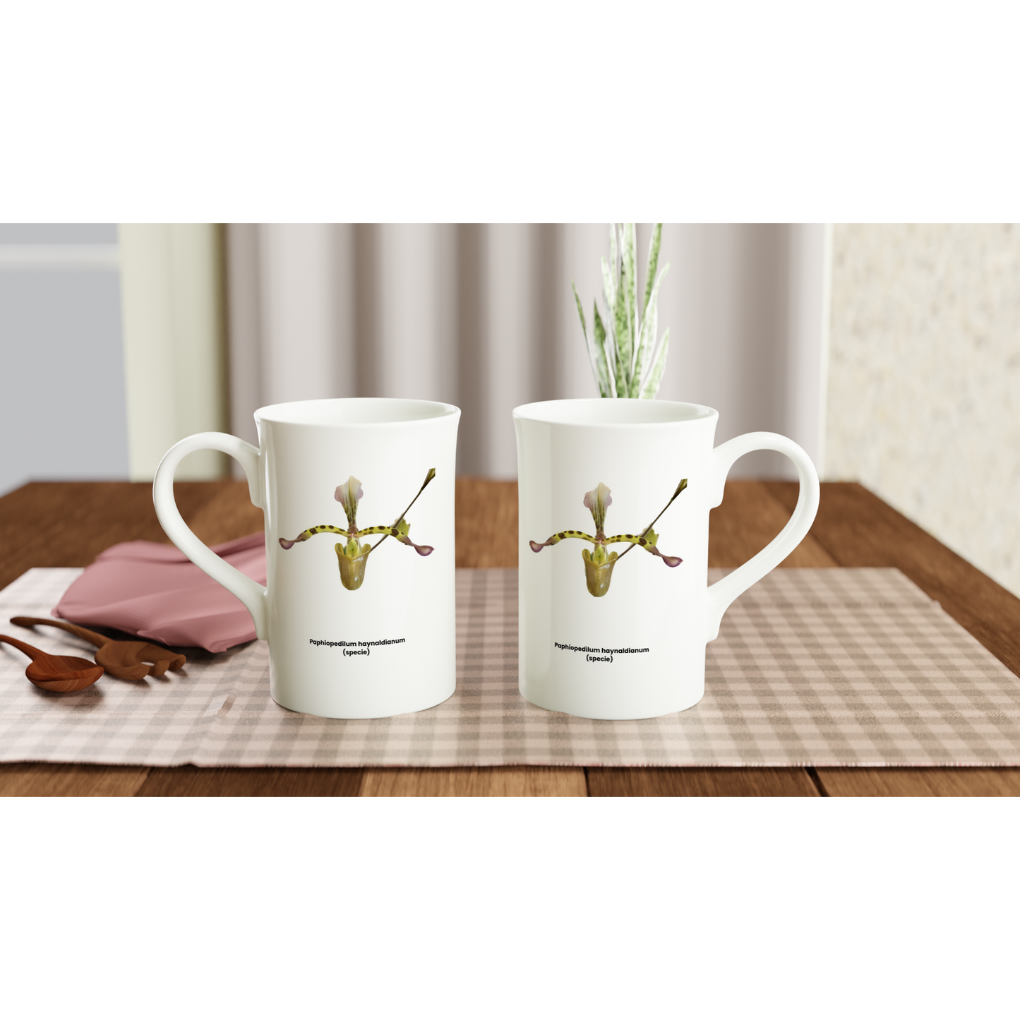 Paphiopedilum haynaldianum Orchid Porcelain Mug