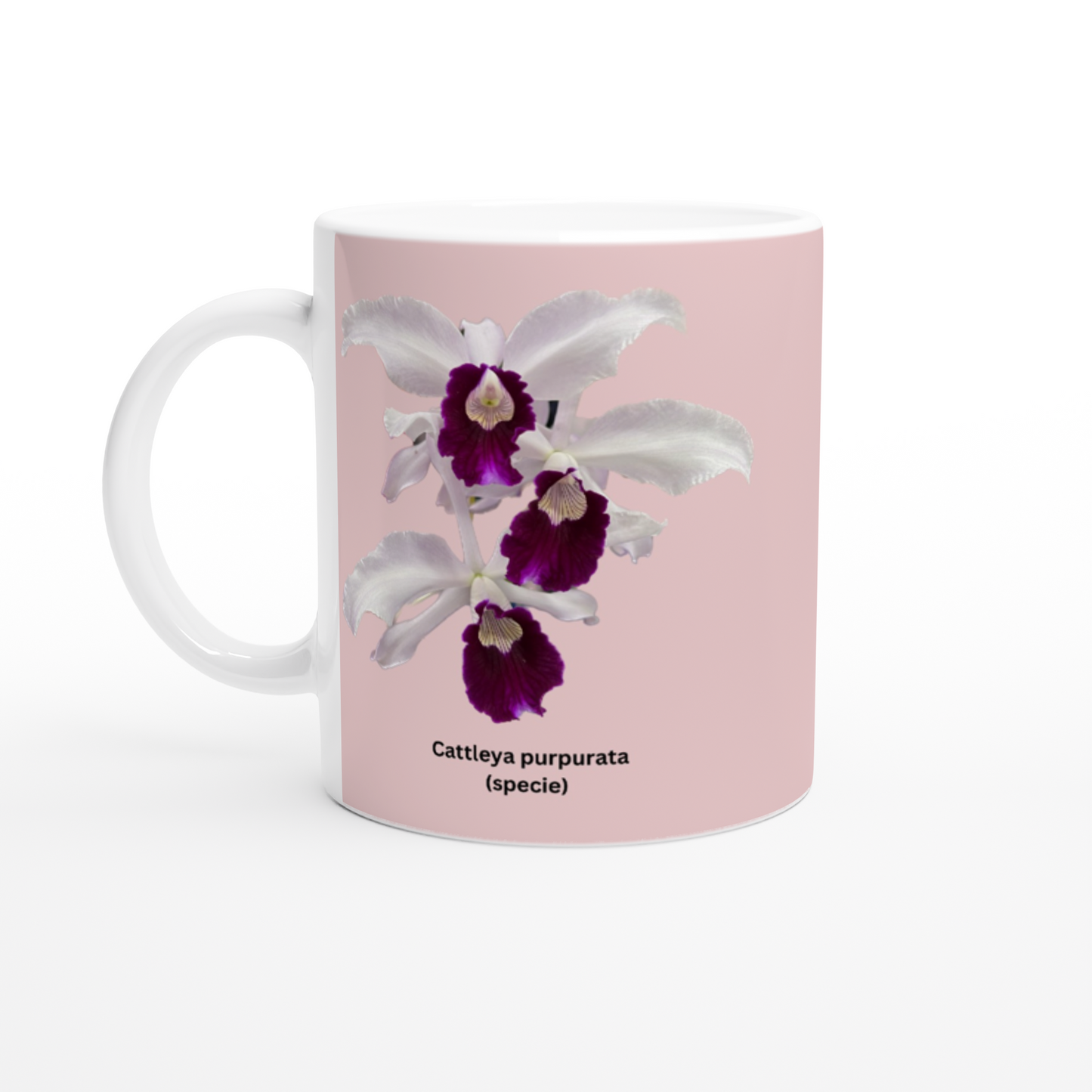 Cattleya purpurata Orchid Coffee Mug