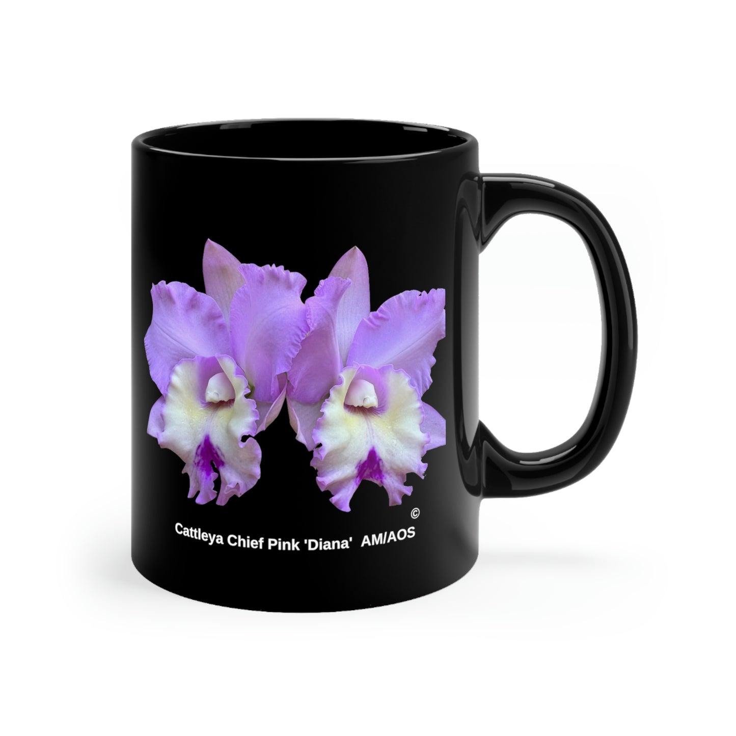 Cattleya Chief Pink 'Diana' Orchid Coffee Mug