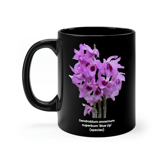 Dendrobium anosmum superbum 'Blue Lip' Orchid Coffee Mug