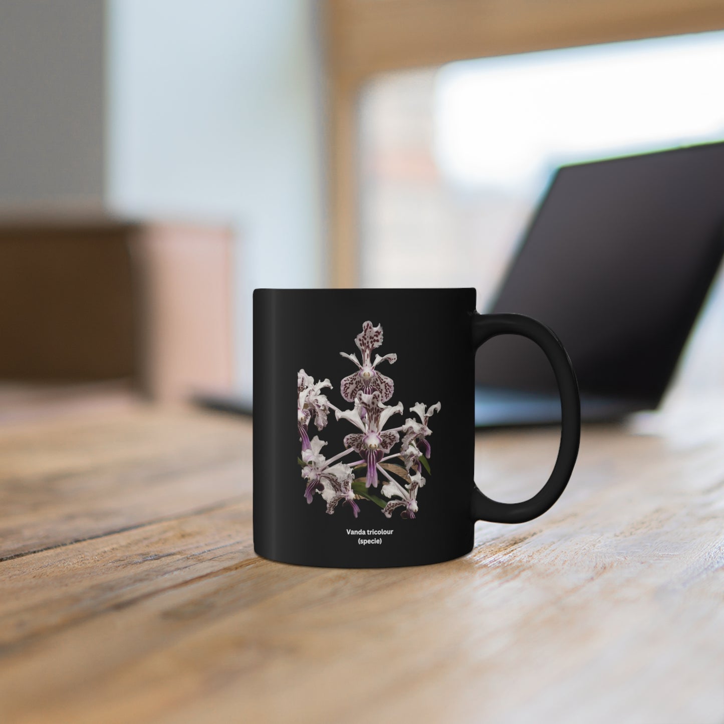 Vanda tricolor Orchid Coffee Mug