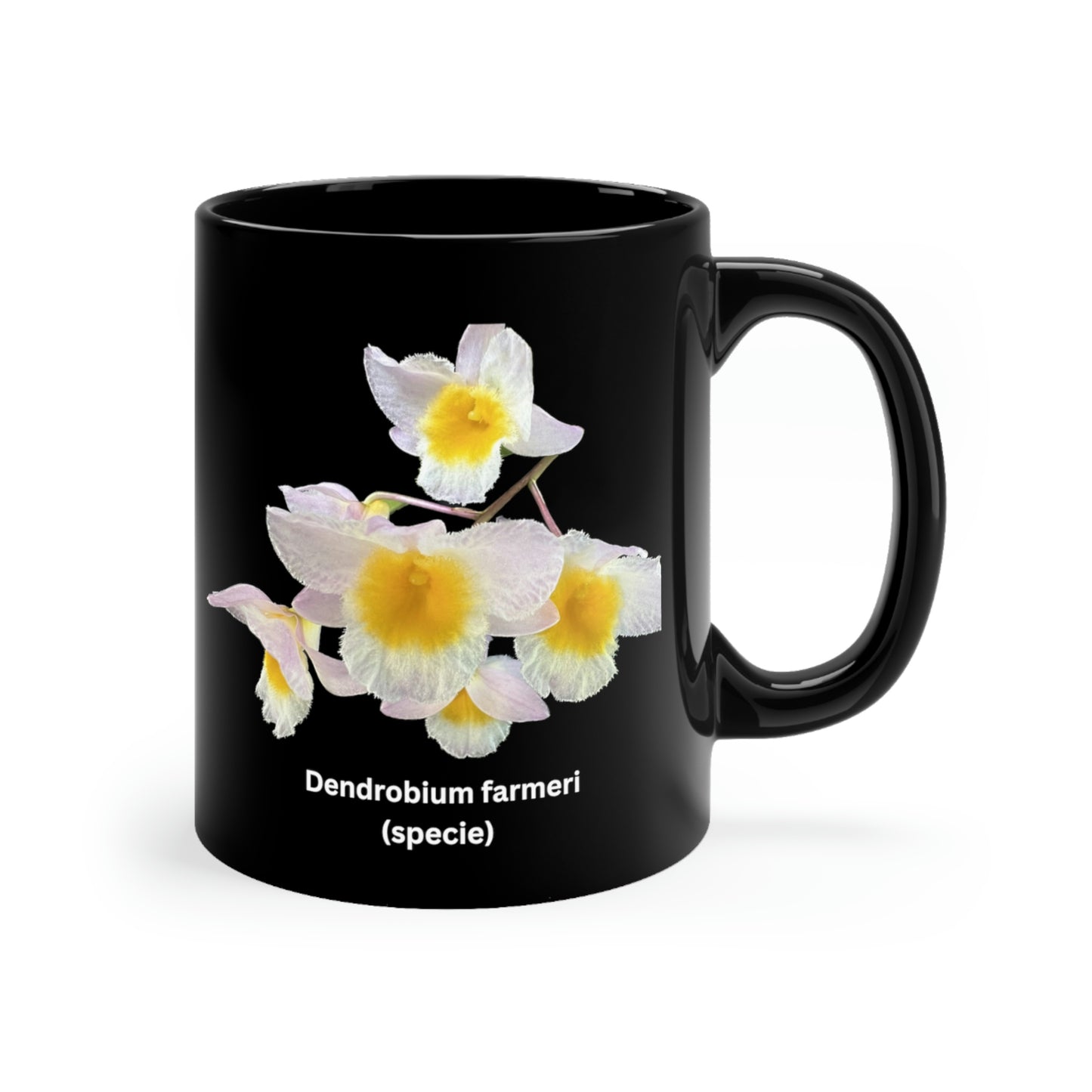 Dendrobium farmeri Orchid Coffee Mug