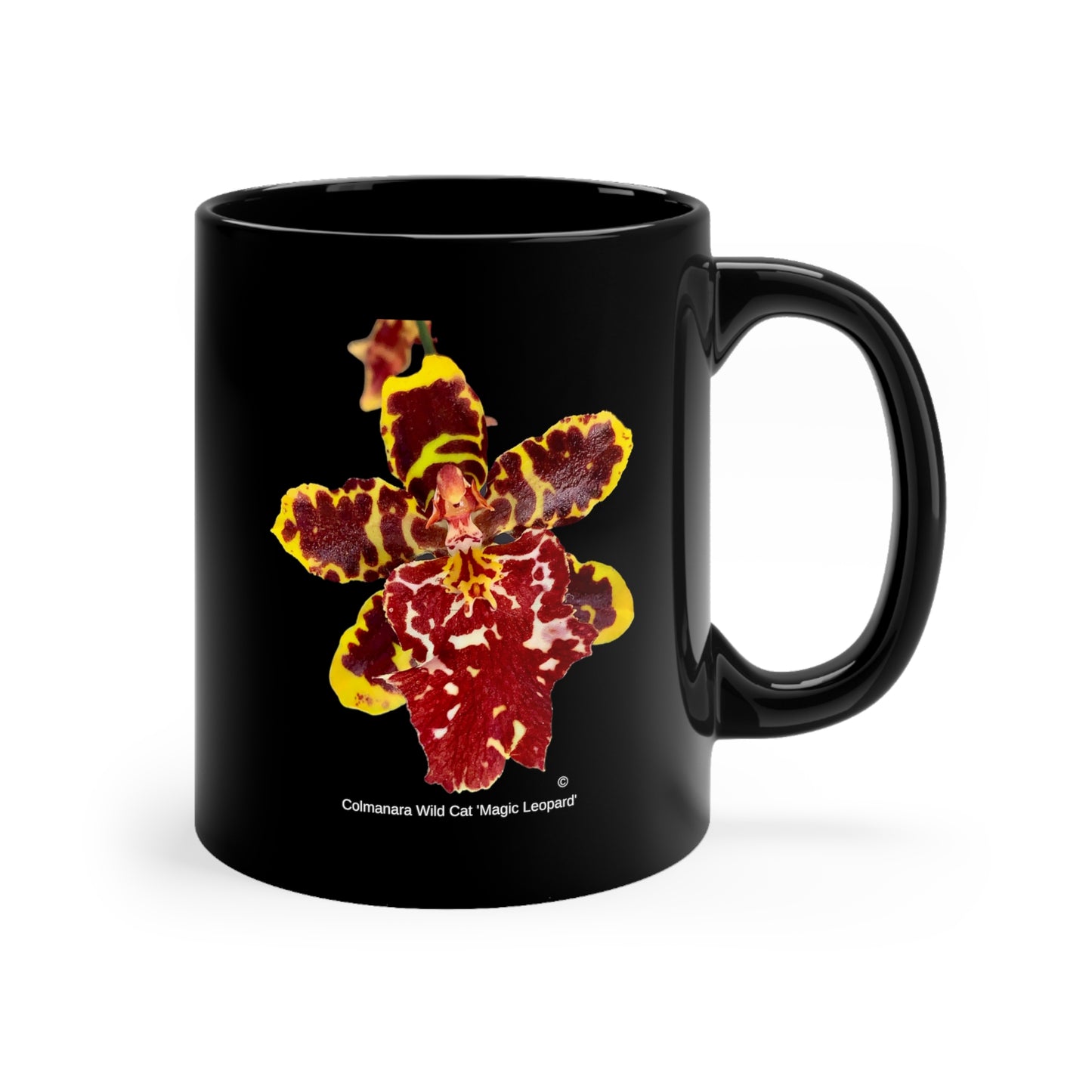 Colmanara Wild Cat 'Magic Leopard' Orchid Coffee Mug