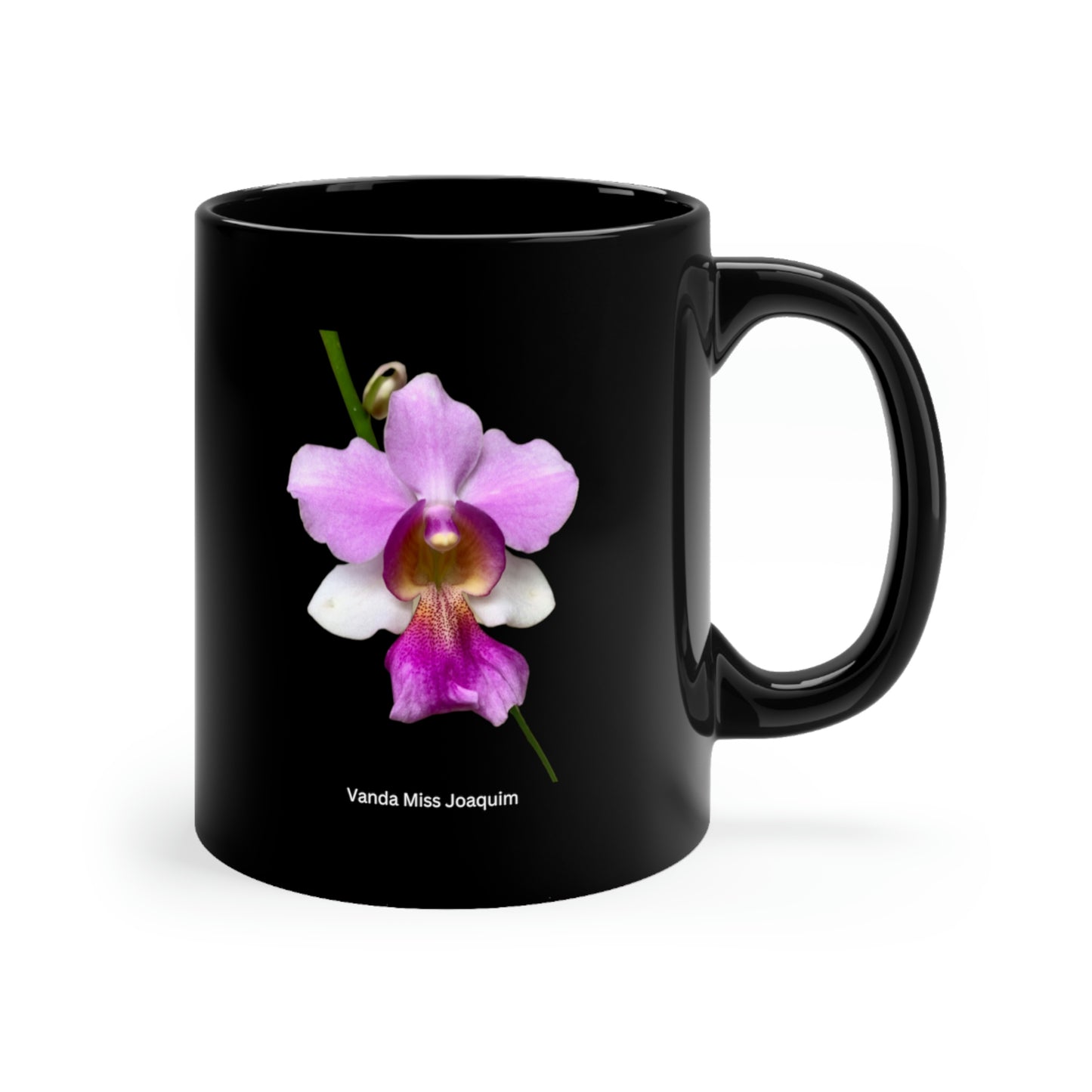 Vanda Miss Joaquim Orchid Coffee Mug