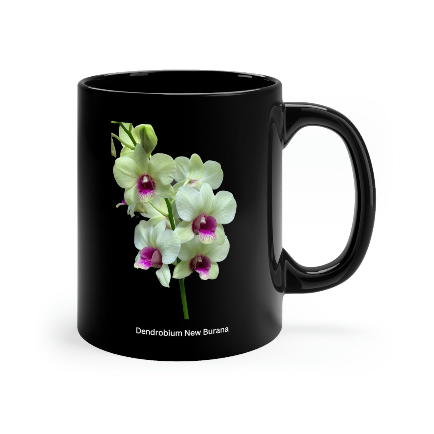 Dendrobium New Burana Orchid Coffee Mug