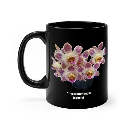 Chysis limminghei Orchid Coffee Mug