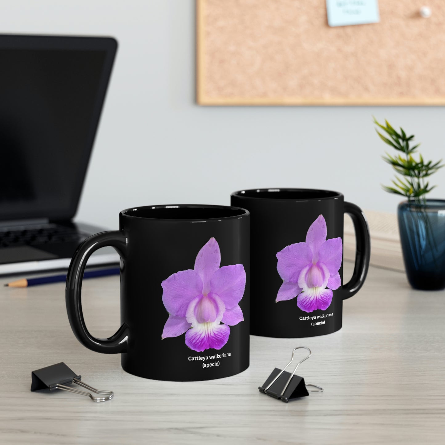 Cattleya walkeriana Orchid Coffee Mug