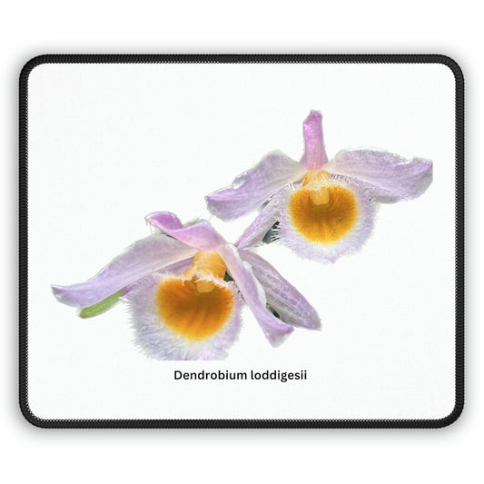 Dendrobium loddigesii Orchid Mouse Pad