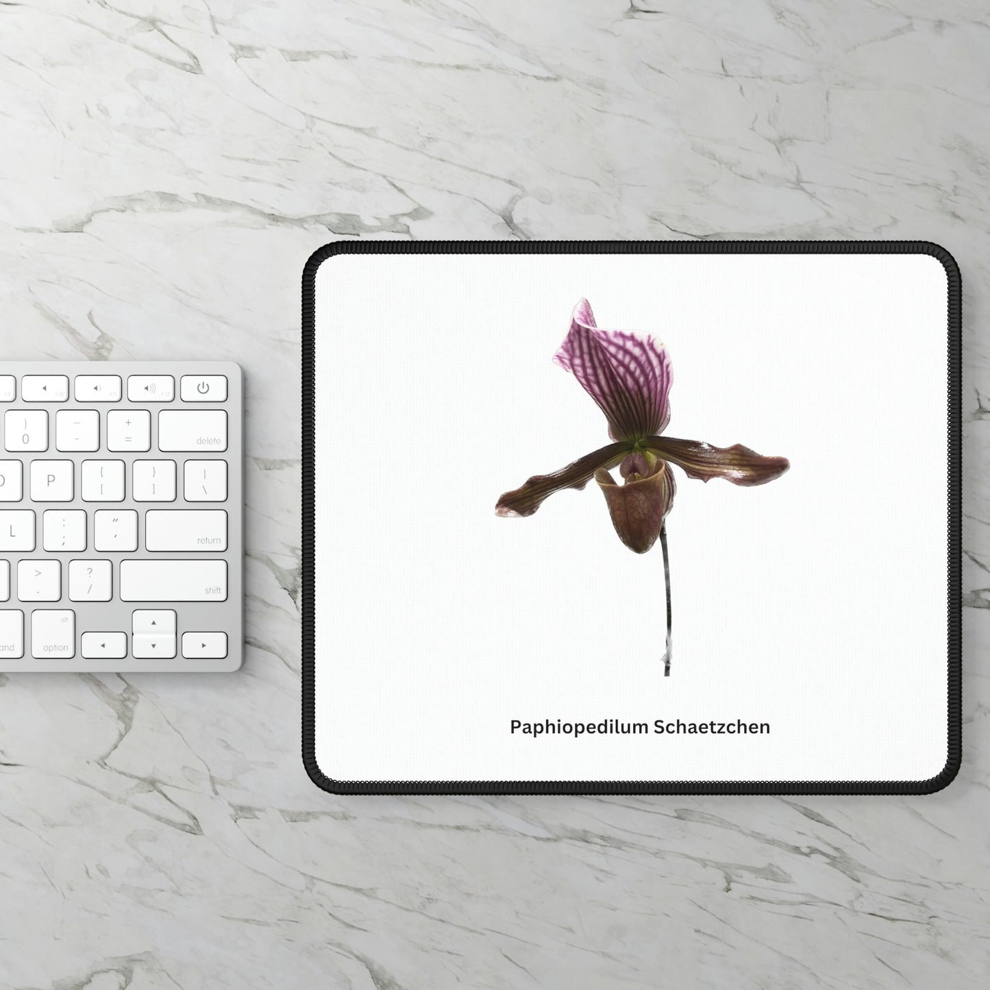 Paphiopedilum Schaetzchen Orchid Mouse Pad