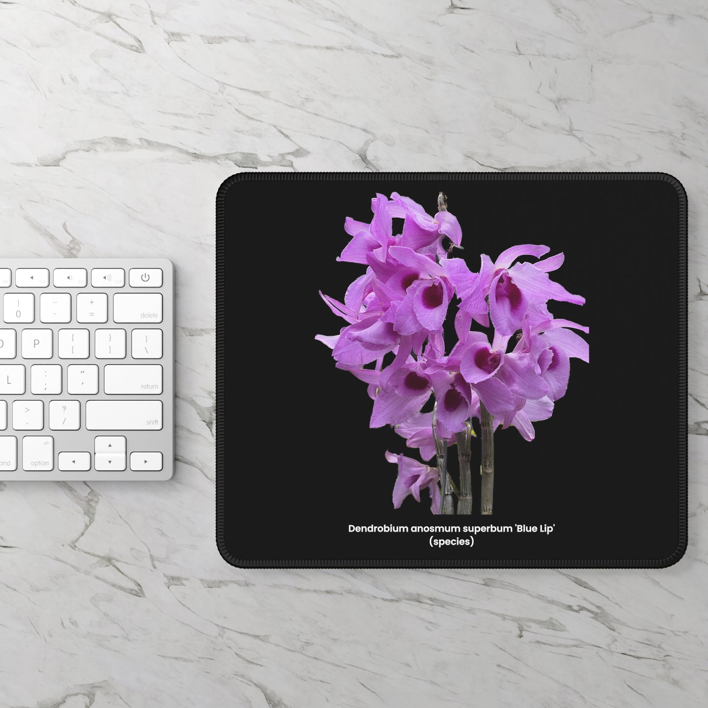 Dendrobium anosmum superbum 'Blue Lip' Orchid Black Mouse Pad