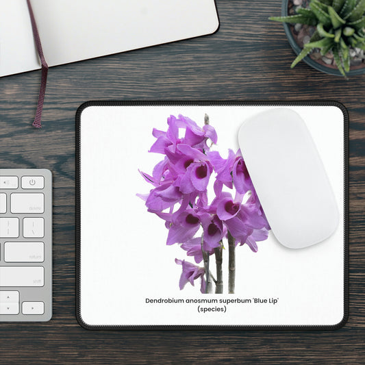 Dendrobium anosmum superbum 'Blue Lip' Orchid Mouse Pad