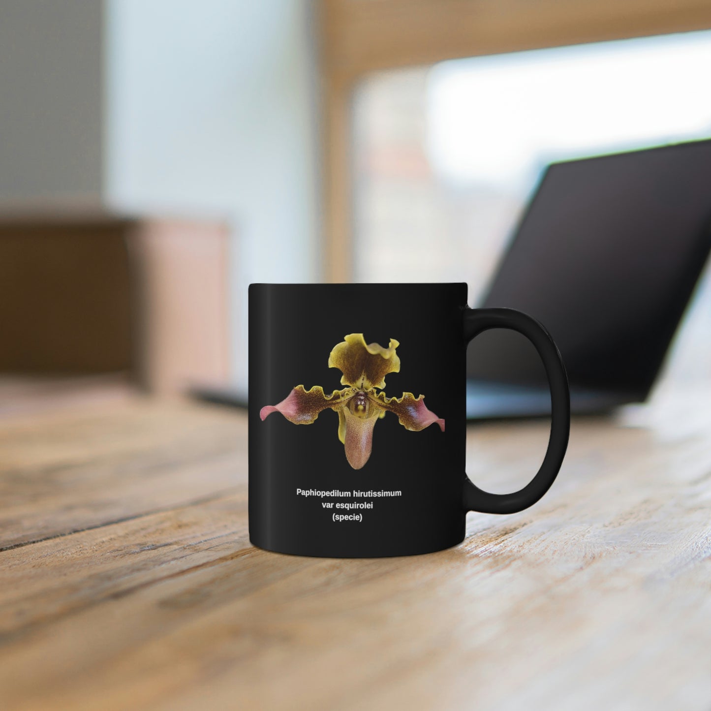 Paphiopedilum hirsutissimum var esquirolei Orchid Coffee Mug