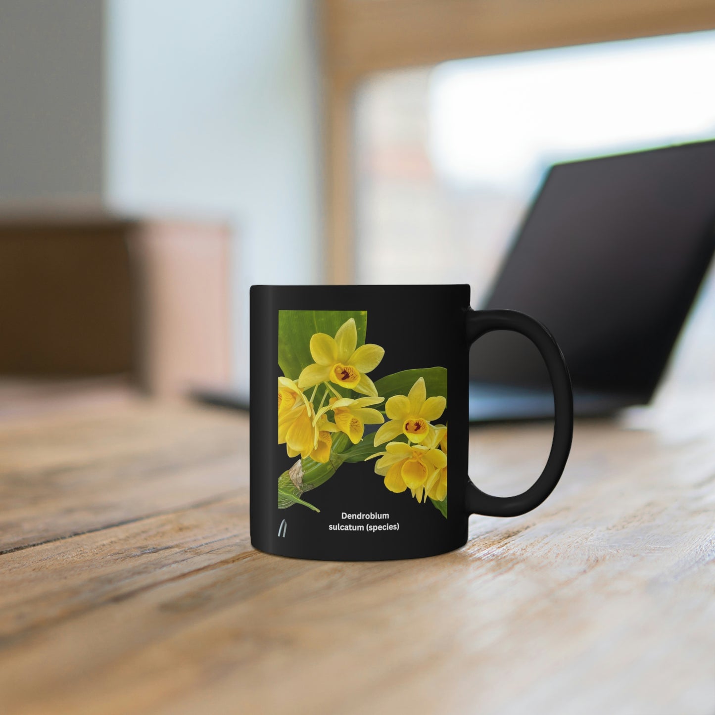 Dendrobium Sulcatum Orchid Coffee Mug