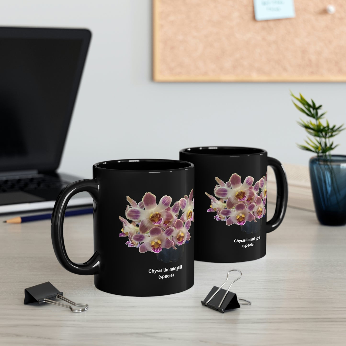 Chysis limminghei Orchid Coffee Mug